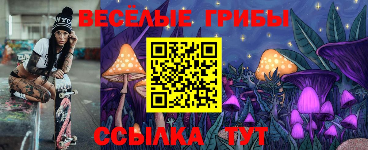 Псилоцибиновые грибы Cubensis Кинель