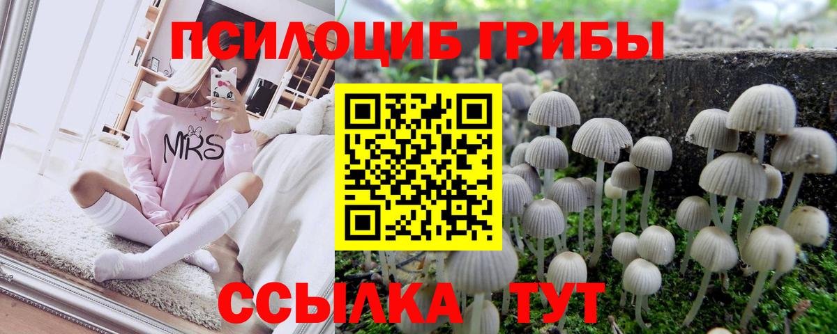 Кинель  Псилоцибиновые грибы MAGIC MUSHROOMS  Вход с VPN  Галлюциногенные грибы Magic Shrooms 